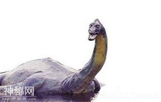尼斯湖巨大水怪吞食人畜，照片曝光后发现水怪似龙又似蛇真相-3.jpg