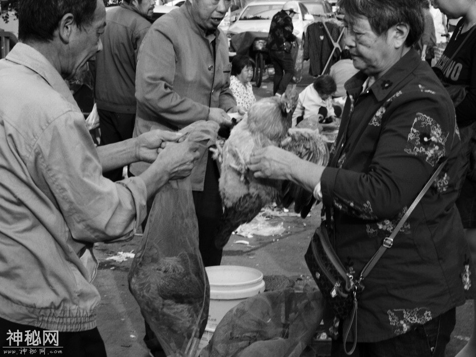 图虫人文摄影：又到东山-12.jpg