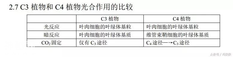 【高考生物】高中生物二轮复习知识结构网络：专题二-7.jpg