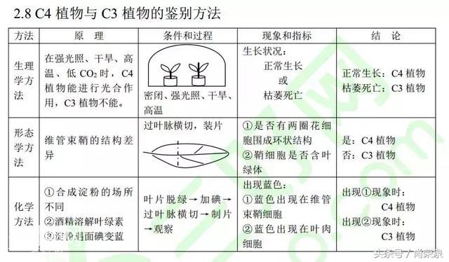 【高考生物】高中生物二轮复习知识结构网络：专题二-8.jpg