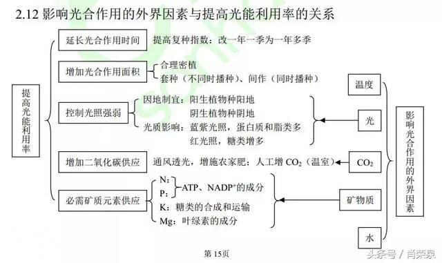 【高考生物】高中生物二轮复习知识结构网络：专题二-12.jpg