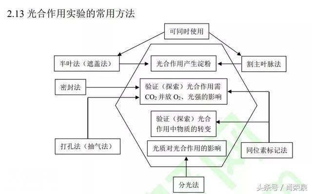 【高考生物】高中生物二轮复习知识结构网络：专题二-13.jpg