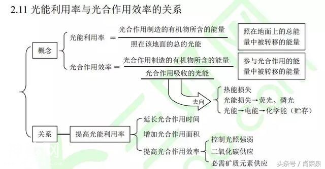 【高考生物】高中生物二轮复习知识结构网络：专题二-11.jpg