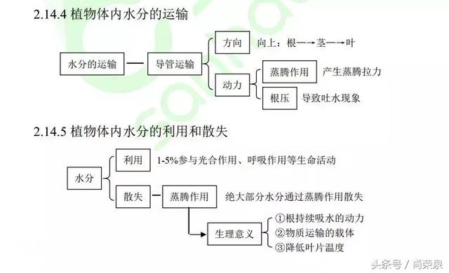 【高考生物】高中生物二轮复习知识结构网络：专题二-17.jpg