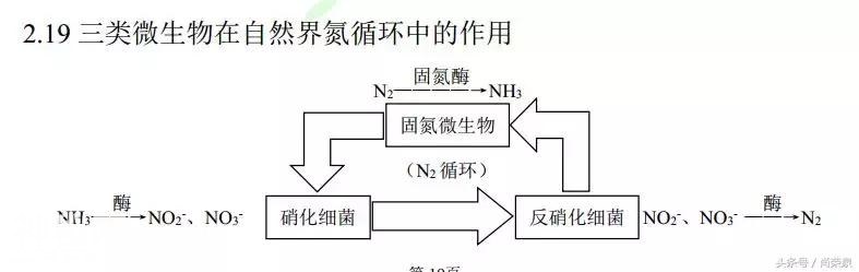 【高考生物】高中生物二轮复习知识结构网络：专题二-22.jpg