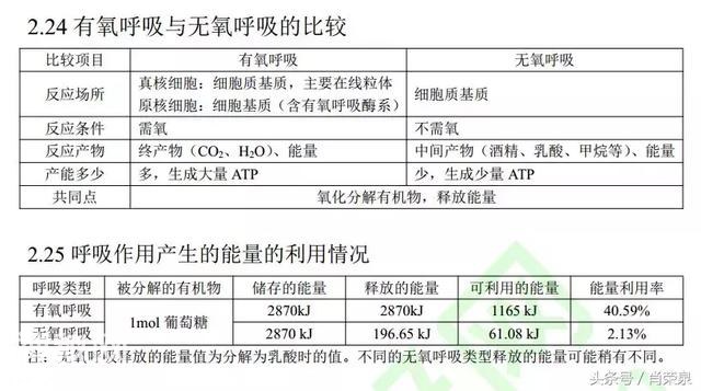 【高考生物】高中生物二轮复习知识结构网络：专题二-28.jpg