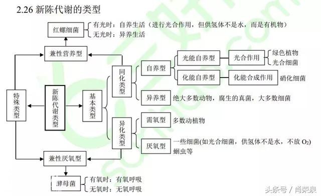 【高考生物】高中生物二轮复习知识结构网络：专题二-29.jpg