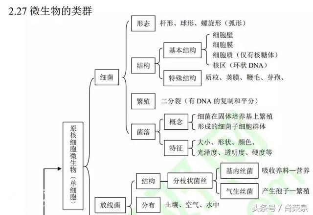 【高考生物】高中生物二轮复习知识结构网络：专题二-31.jpg