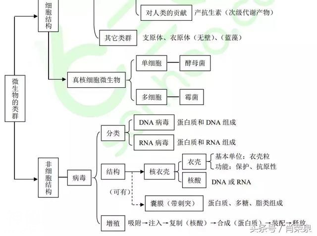 【高考生物】高中生物二轮复习知识结构网络：专题二-32.jpg