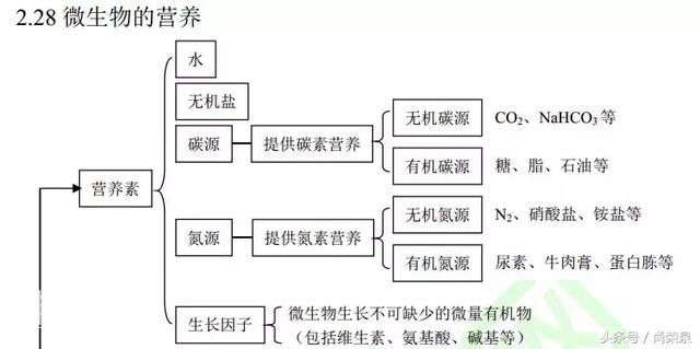 【高考生物】高中生物二轮复习知识结构网络：专题二-33.jpg