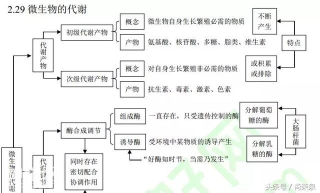 【高考生物】高中生物二轮复习知识结构网络：专题二-36.jpg
