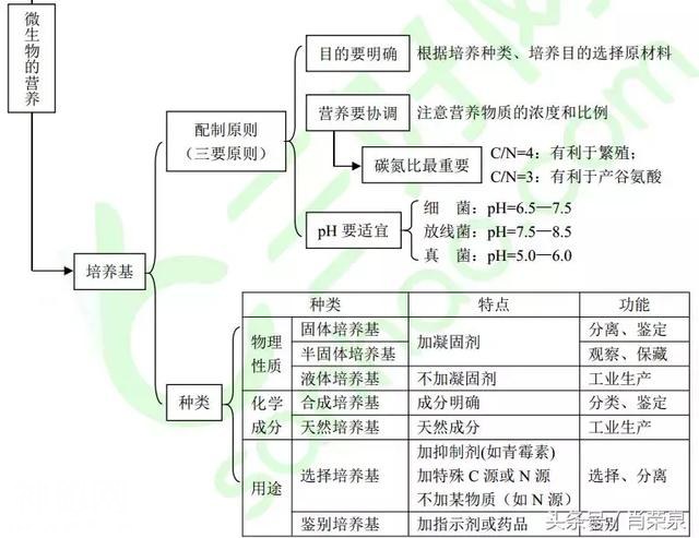 【高考生物】高中生物二轮复习知识结构网络：专题二-34.jpg