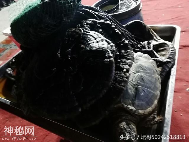 福安市罗江街道处又一场以魔术表演，又在推销其产品是真的吗？-14.jpg