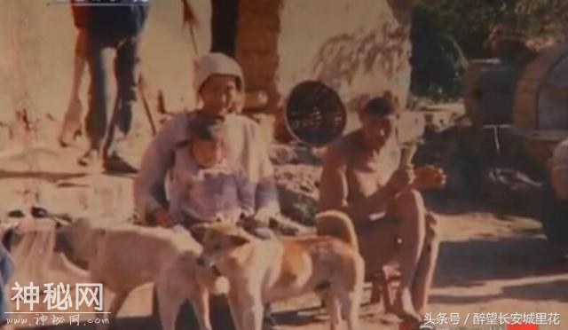 被称为野人后代不会说话从不生病，揭秘神农架神秘“猴娃”！-3.jpg