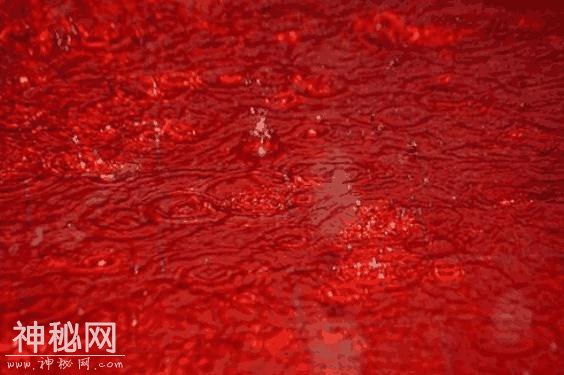 “下血雨”的自然现象非常罕见，只有几处地方能看到，你见过吗？-2.jpg
