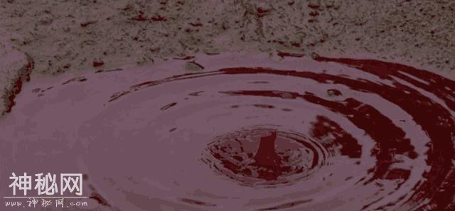 “下血雨”的自然现象非常罕见，只有几处地方能看到，你见过吗？-4.jpg