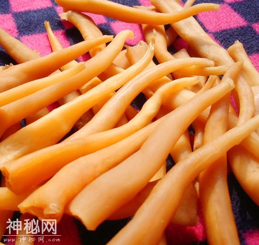 偷偷告诉你！不论男女，十月定不能错过这“货，对身体大有裨益-12.jpg