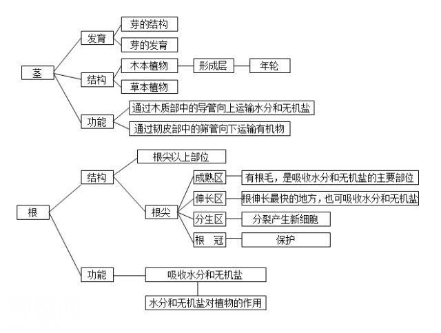 生物高分的秘密：生物思维导图-3.jpg