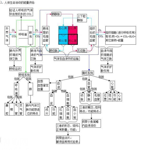 生物高分的秘密：生物思维导图-5.jpg