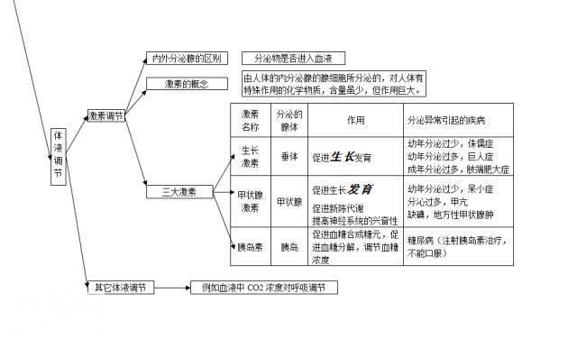 生物高分的秘密：生物思维导图-10.jpg