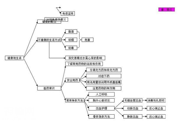 生物高分的秘密：生物思维导图-19.jpg