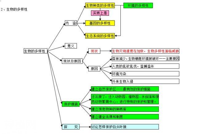 生物高分的秘密：生物思维导图-16.jpg
