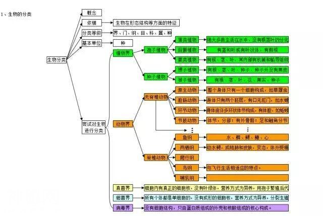 生物高分的秘密：生物思维导图-15.jpg