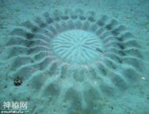 盘点世界上奇特的15种自然现象-15.jpg