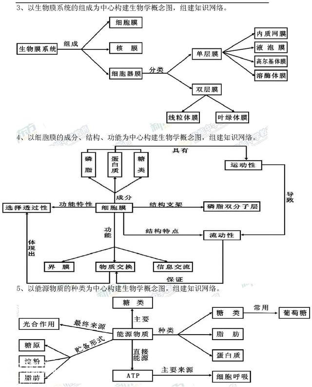 高中生物知识网络大全，简洁明了学生物复习更轻松-2.jpg