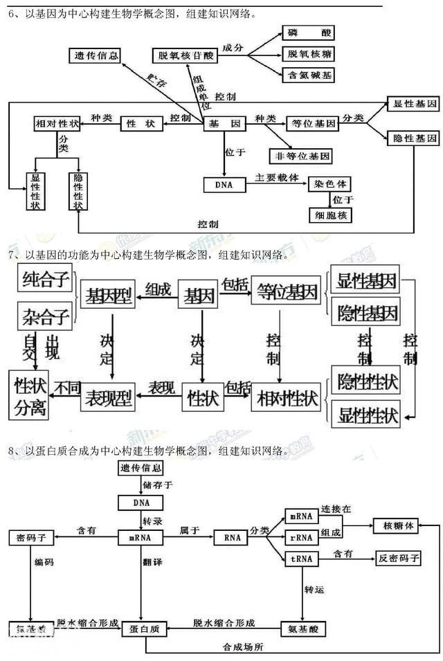 高中生物知识网络大全，简洁明了学生物复习更轻松-3.jpg