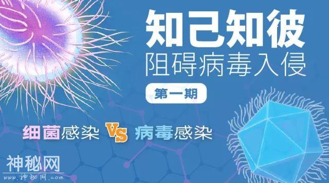 「专题」病毒VS细菌，别再傻傻分不清-1.jpg