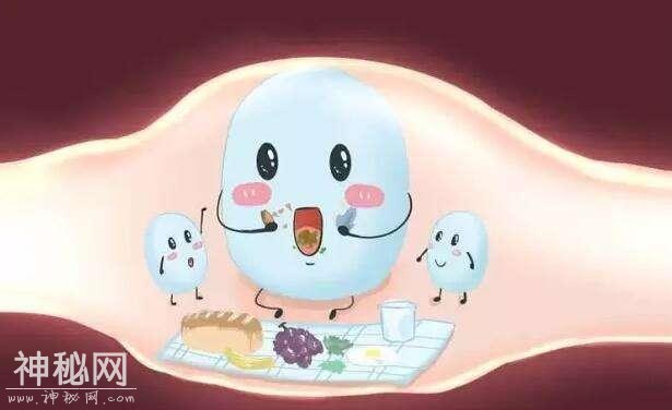 「专题」病毒VS细菌，别再傻傻分不清-6.jpg