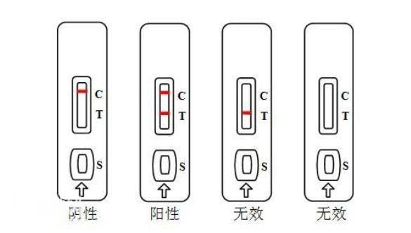 「专题」病毒VS细菌，别再傻傻分不清-9.jpg