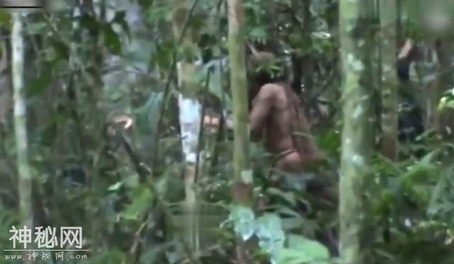 直击亚马逊最后一个野人 逾廿年孤单生活-3.jpg