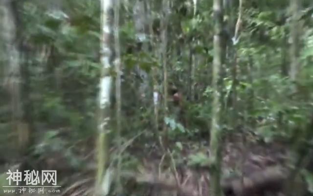 直击亚马逊最后一个野人 逾廿年孤单生活-1.jpg