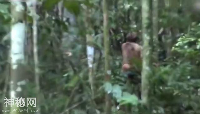 直击亚马逊最后一个野人 逾廿年孤单生活-2.jpg