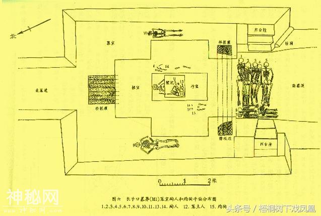 考古发现一老年男墓主用多名妙龄女子殉葬，意外还不只这个-3.jpg
