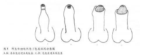 警惕！这10类女性更易被HPV病毒“纠缠”-2.jpg
