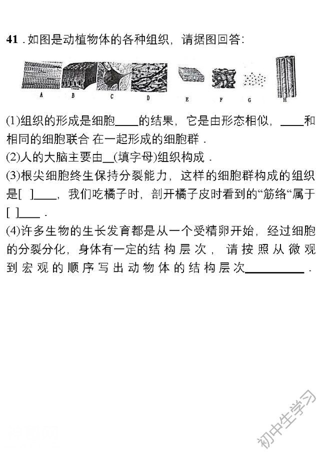 七年级生物上学期期中考试名校试卷！附答案-14.jpg