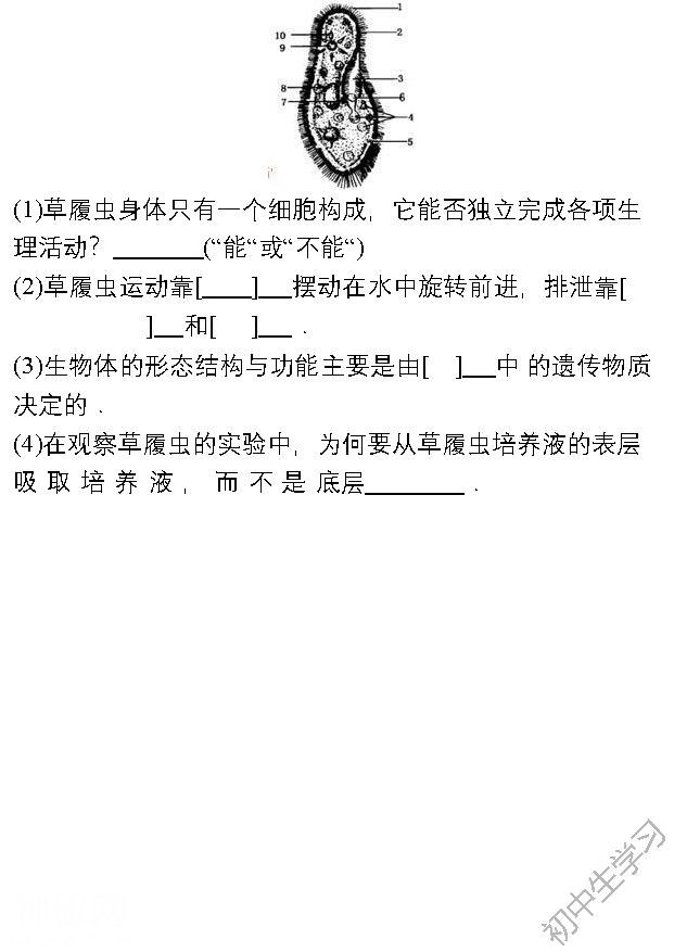 七年级生物上学期期中考试名校试卷！附答案-13.jpg