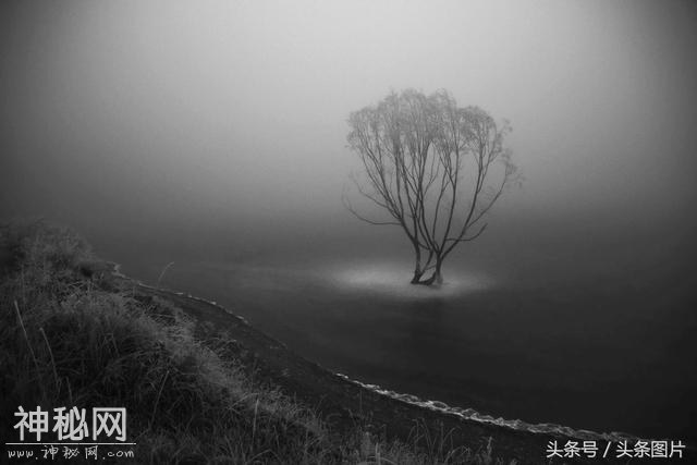 第二届阮义忠摄影人文奖揭晓 15组作品获奖-32.jpg