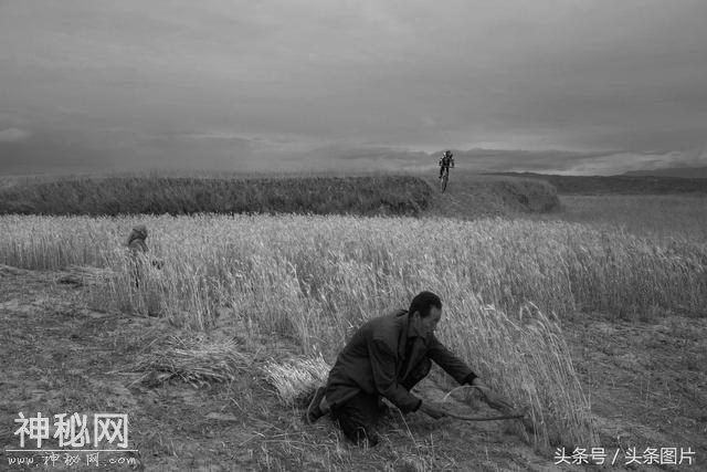 第二届阮义忠摄影人文奖揭晓 15组作品获奖-34.jpg