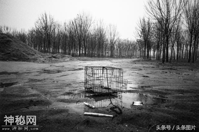 第二届阮义忠摄影人文奖揭晓 15组作品获奖-49.jpg