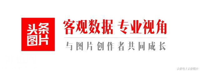 第二届阮义忠摄影人文奖揭晓 15组作品获奖-73.jpg