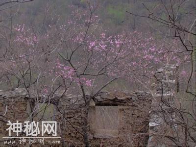 解读中国第一鬼村之名的封门村灵异事件-7.jpg