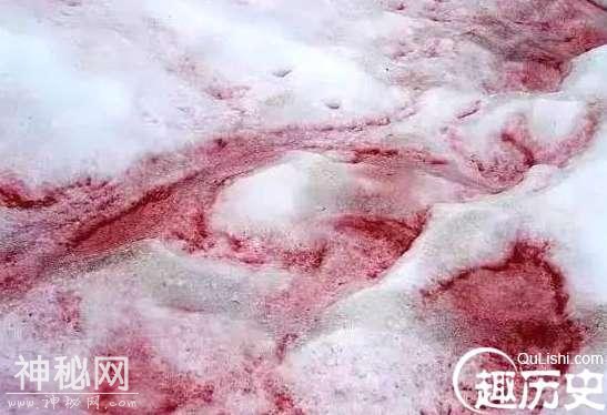 盘点西藏十大未解之谜：女性野人抢走当地男人婚配生子！-1.jpg