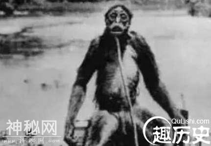盘点西藏十大未解之谜：女性野人抢走当地男人婚配生子！-6.jpg