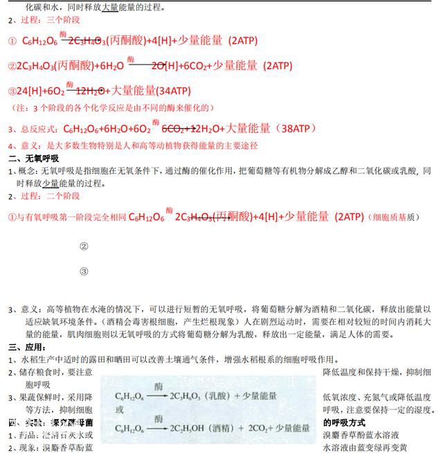 高中生物：必修一全套预习提纲资料，新高一学生必备，拿下考98！-9.jpg