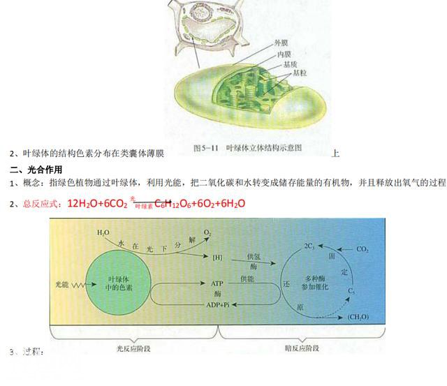 高中生物：必修一全套预习提纲资料，新高一学生必备，拿下考98！-11.jpg