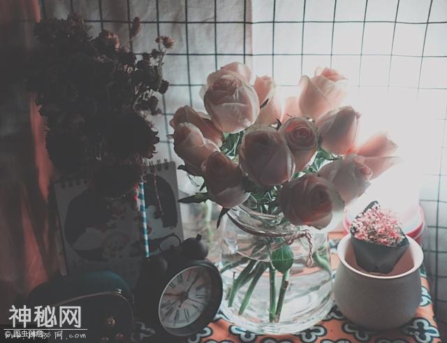 冬至来临，注意这3件事，多吃2果，身体会越来越好-3.jpg
